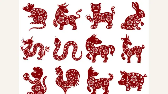 After the Start of Autumn: What Each Chinese Zodiac Sign Should Watch Out For
