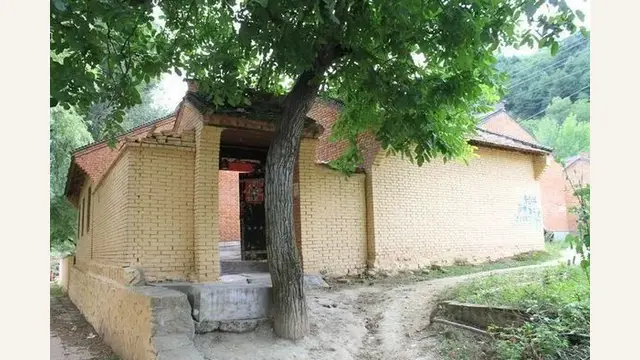 Is a Big Tree Blocking Your Front Door? How to Balance the Energy Without Cutting It Down