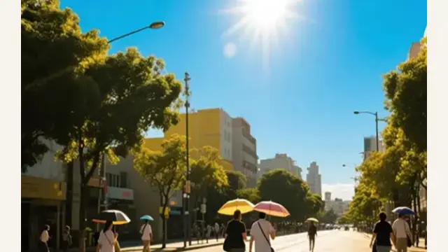 What Should You Avoid Doing at Noon?